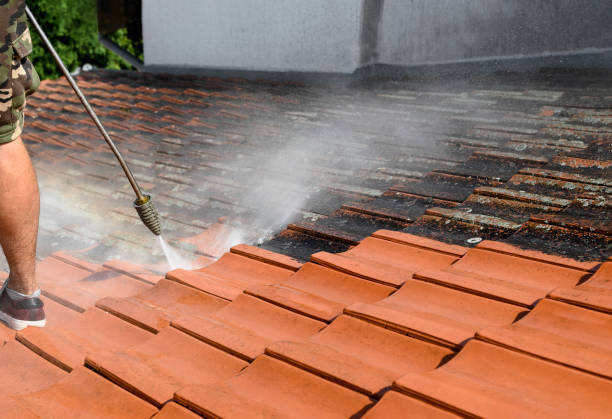 Best Deck Cleaning Services  in Vergennes, VT