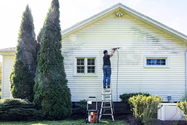 Best Roof Pressure Washing  in Vergennes, VT